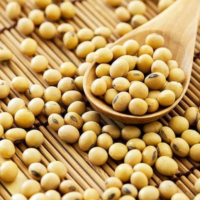 10 lợi ích sức khoẻ hàng đầu của đậu nành